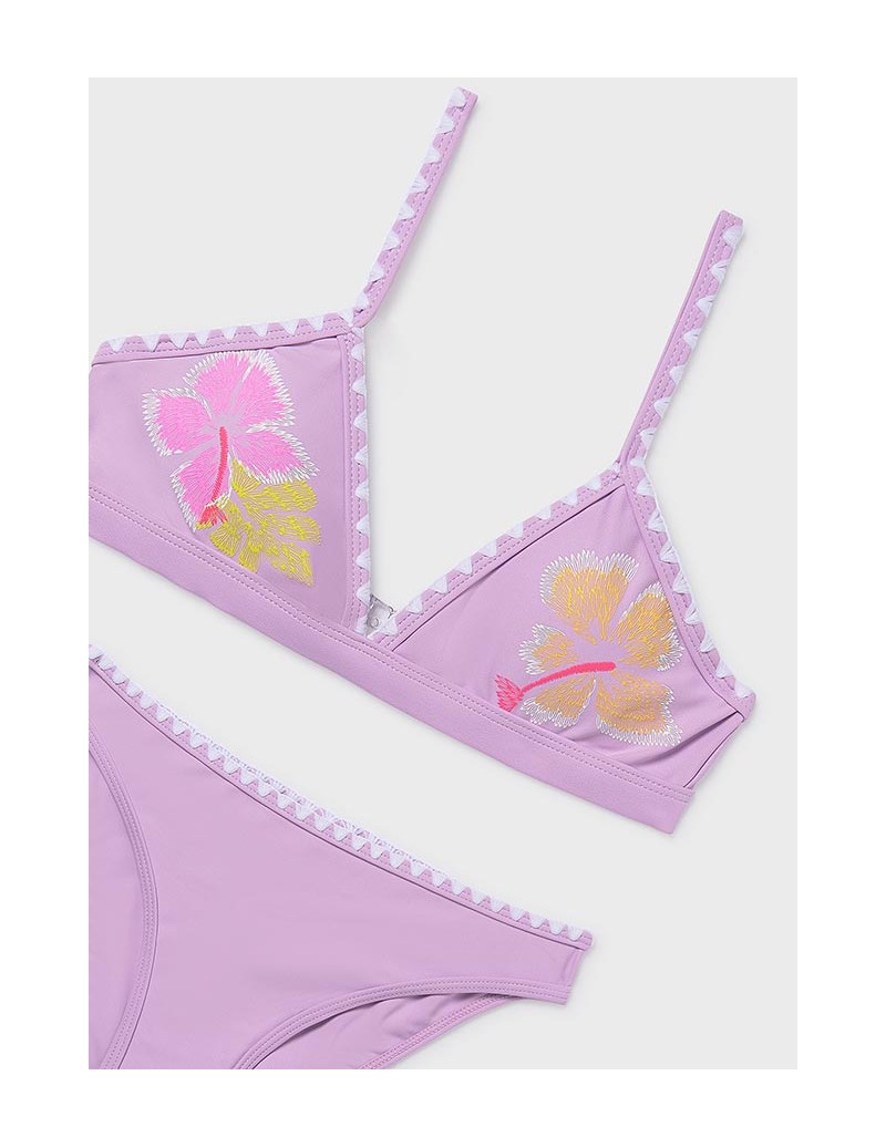 Bikini triangulo grafica